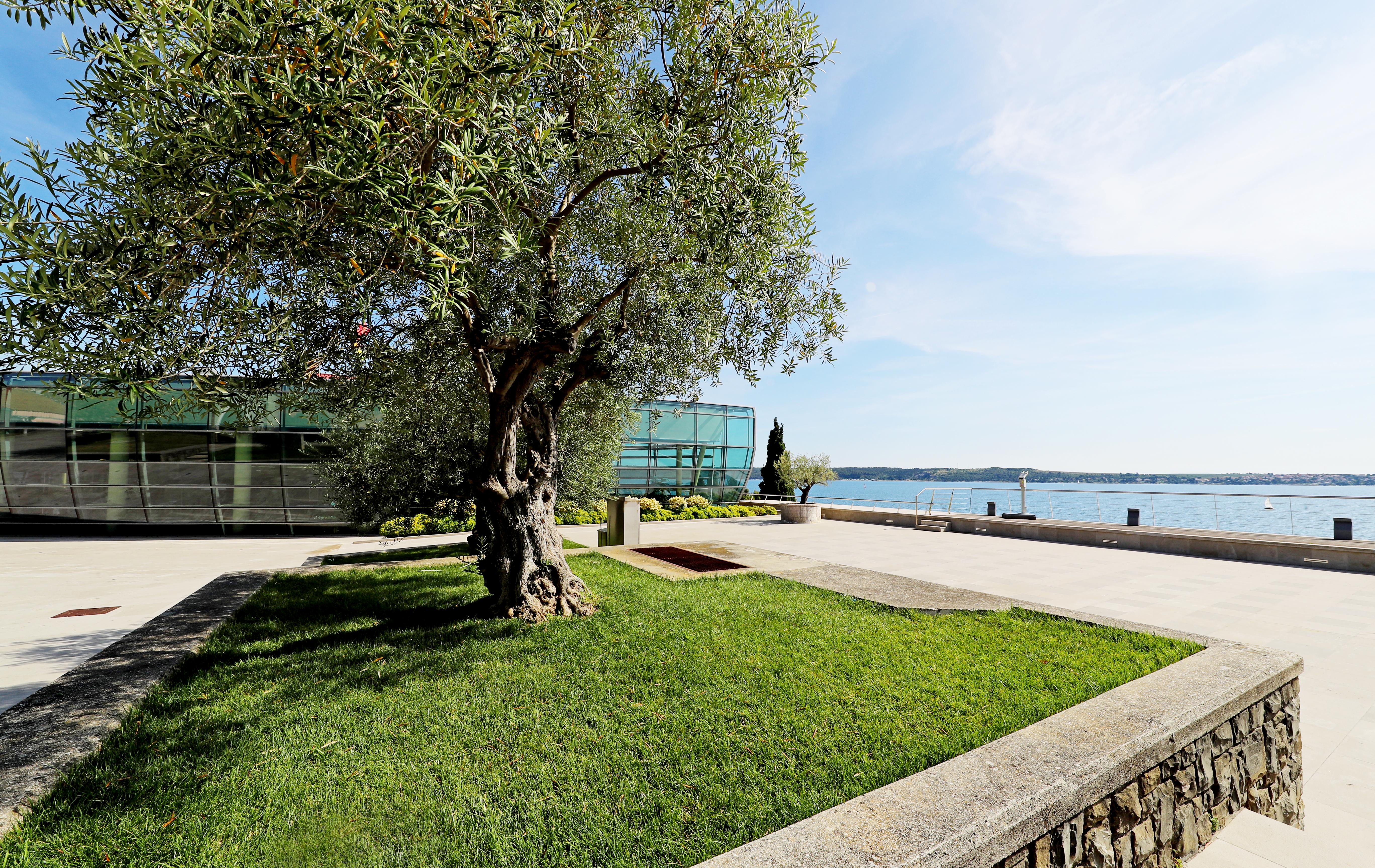 Hotel Histrion Portoroz Luaran gambar